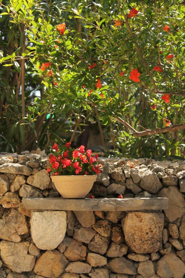 Apartments Nejasmic - Little House For Peaceful And Domestic Vacation Bol Exterior foto